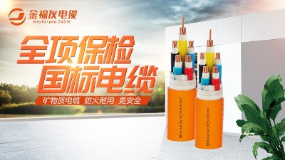 你了解全項(xiàng)保檢嗎？