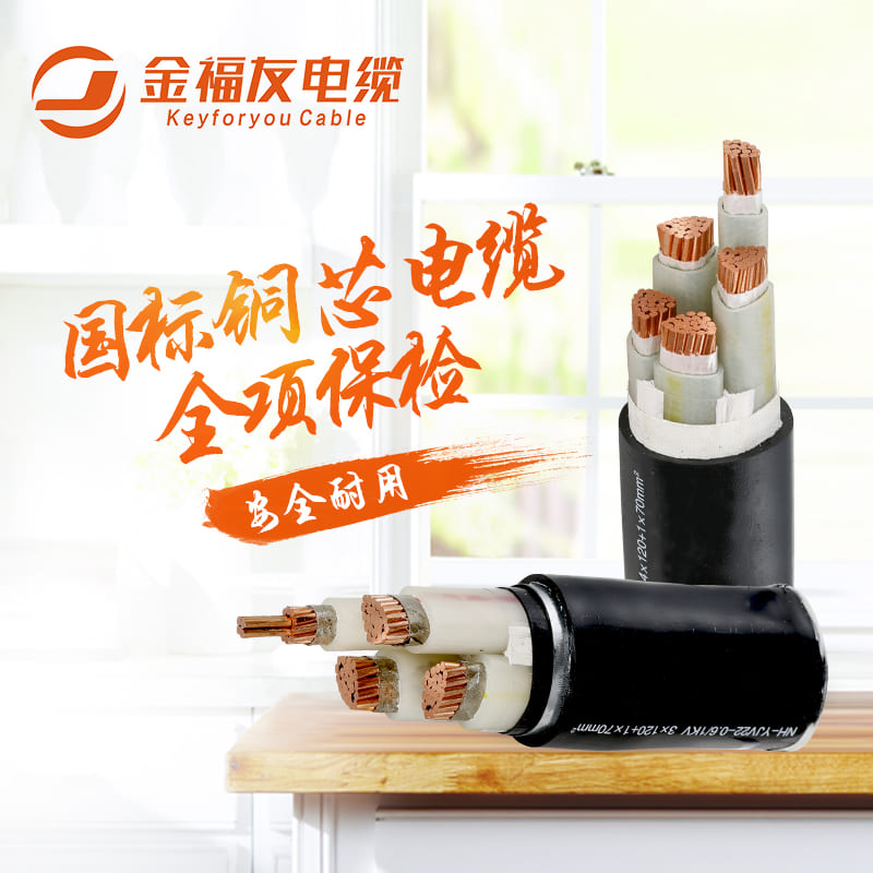 金福友國標銅芯電纜，全項保檢